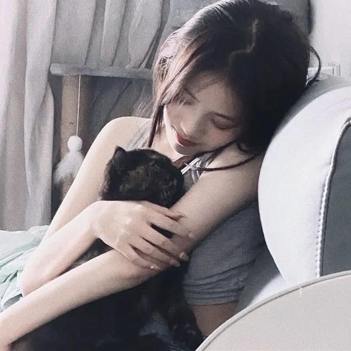 胖胖裤猪